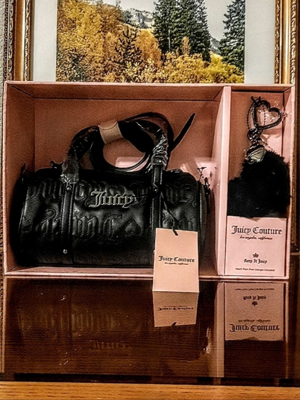 NWT JUICY COUTURE SET